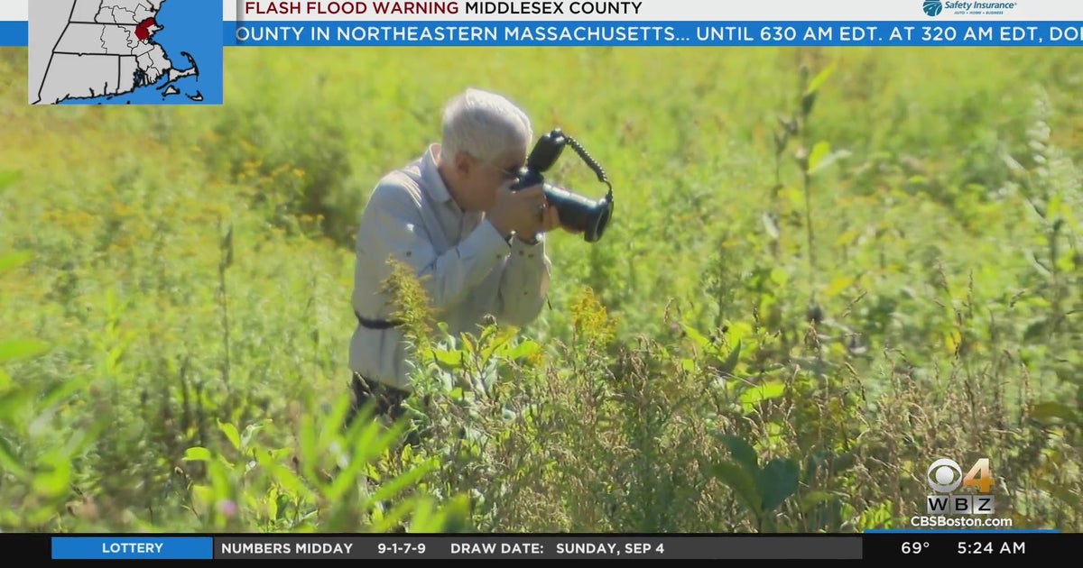 Mass Audubon Society contest encourages photographers to explore nature CBS Boston