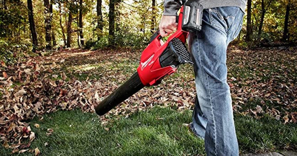 The best electric leaf blowers for dealing with fall leaves - CBS News