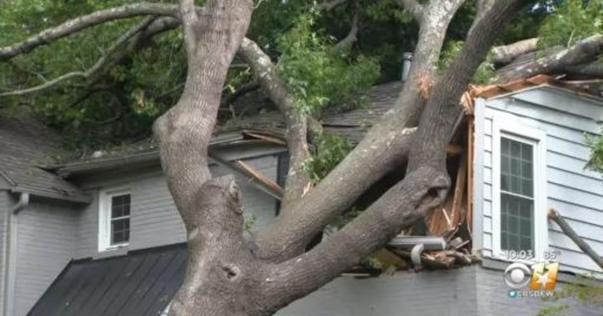 Homeowners Deal With Downed Trees After Sunday Storms Cbs Texas