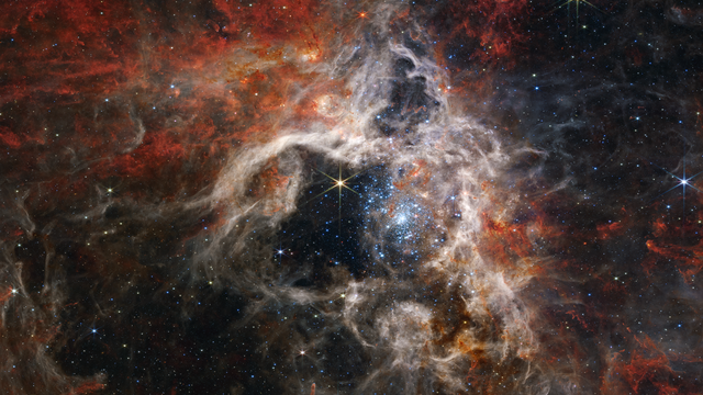 1-tarantula-nebula-nircam-width-1320.png 