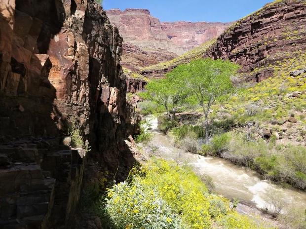 tapeats-creek-as-seen-from-the-thunder-river-trail-in-grand-canyon-national-park.jpg 