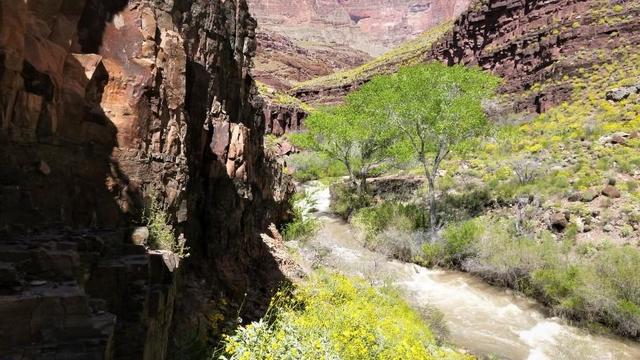 tapeats-creek-as-seen-from-the-thunder-river-trail-in-grand-canyon-national-park.jpg 
