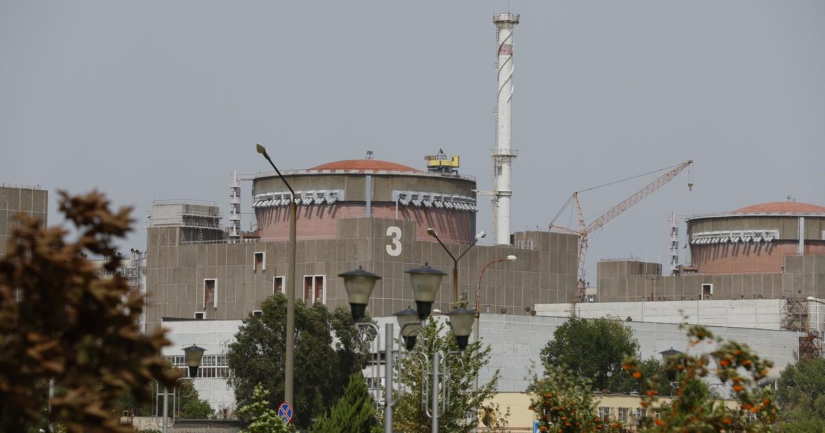 Last working reactor shuts down at Ukraine's Zaporizhzhia nuclear plant amid fears of radiation disaster