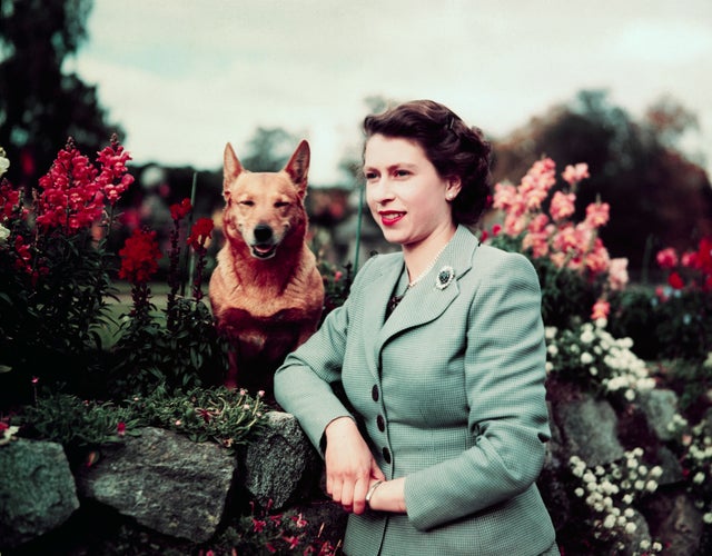 Queen Elizabeth in Garden with Dog 
