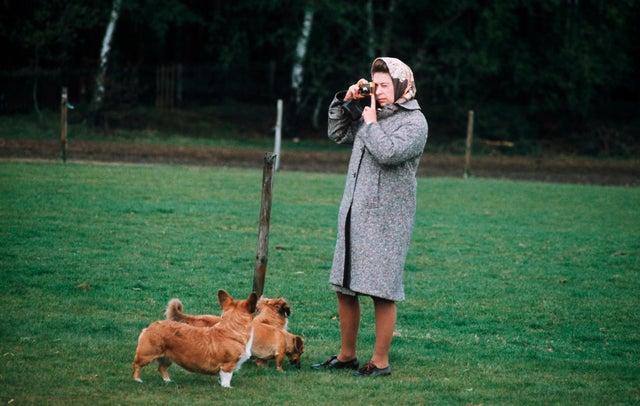 GBR: Queen Elizabeth II in Windsor Park 