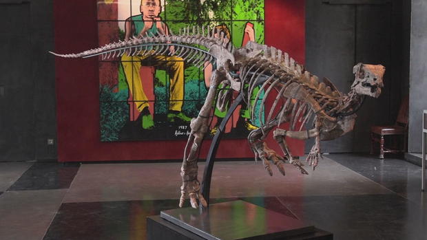 dinosaur-skeleton-auction-4vo-transfer-frame-963.jpg 