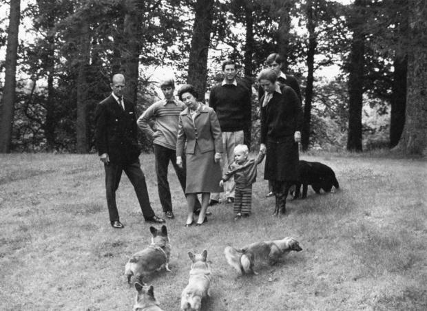 31st October 1979: Members of the British Monarchy walking their dogs in a wood (left to right); The Prince Philip, Duke of Edinburgh, Prince Edward, Queen Elizabeth II, Charles, Prince of Wales, Princess Anne, Prince Andrew and Peter Phillips holding his mother's hand