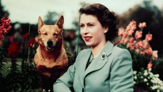 cbsn-fusion-world-reacts-to-death-of-queen-elizabeth-ii-thumbnail-1271924-640x360.jpg