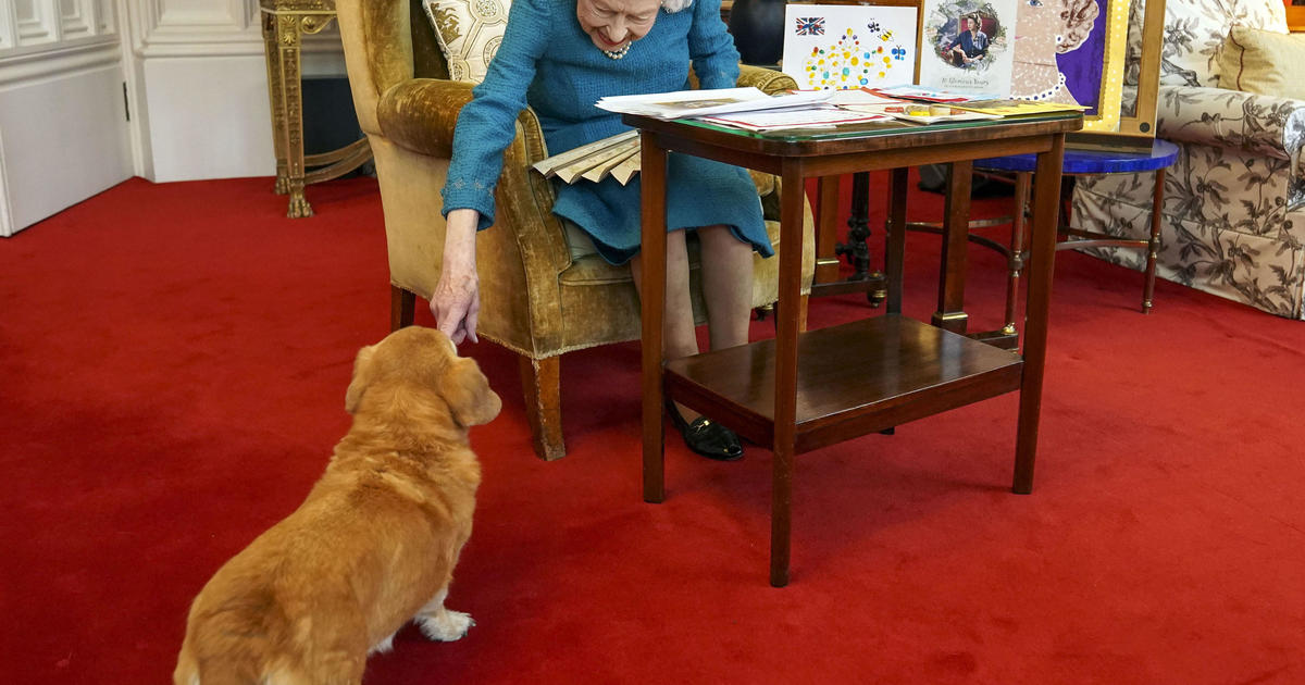 Queen Elizabeth's beloved corgis are getting a new home after her death — with Prince Andrew