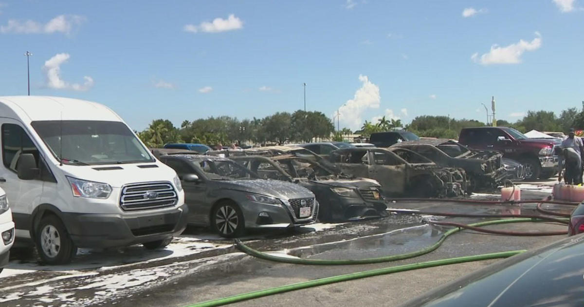 Motor vehicles torched by fireplace at Tough Rock Stadium parking whole lot all through Dolphins year opener