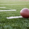 Minnesota loses to California 27-14 