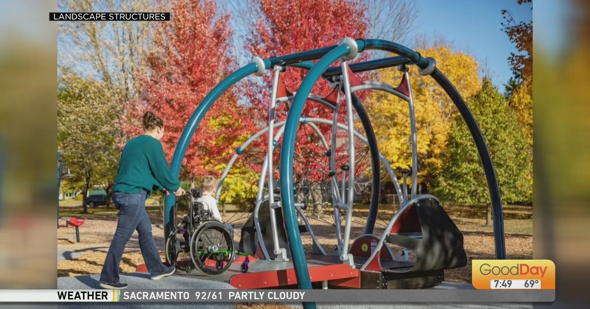 wheelchair-accessible-swing-good-day-sacramento