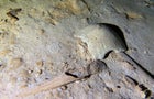 Fragments of a prehistoric human skeleton found in an underwater cave in Tulum, Mexico 