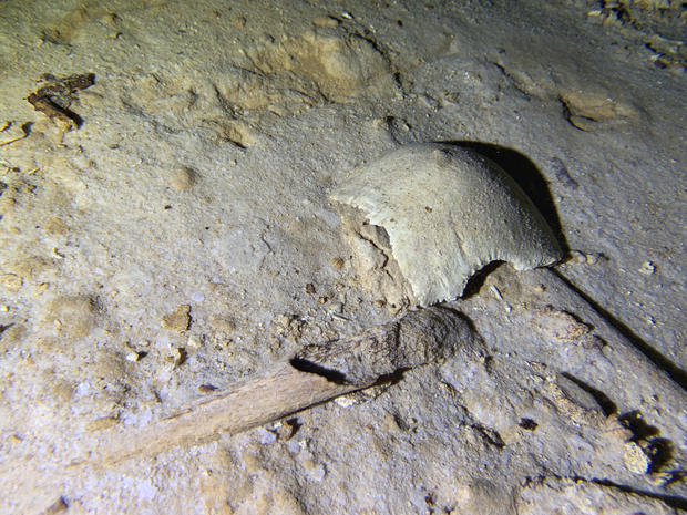 Fragments of a prehistoric human skeleton found in an underwater cave in Tulum, Mexico 