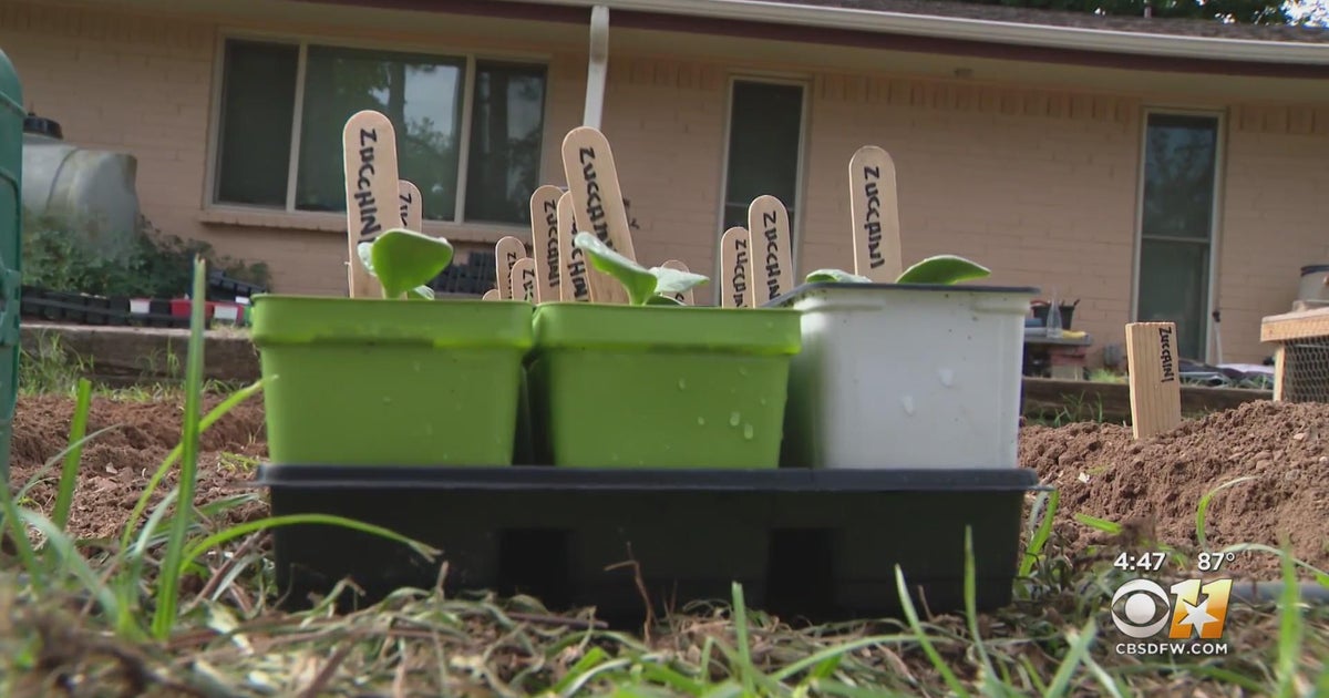 Gardening 101: What to plant in the fall - CBS Texas
