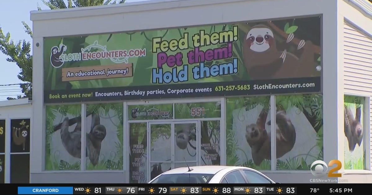 Town of Islip takes legal action against "Sloth Encounters" - CBS New York