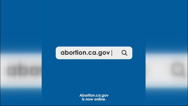 abortion-website.jpg 