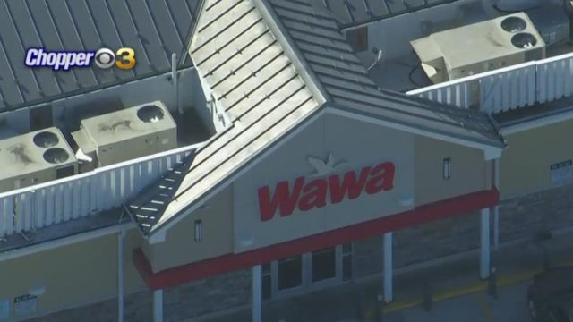 wawa.jpg 