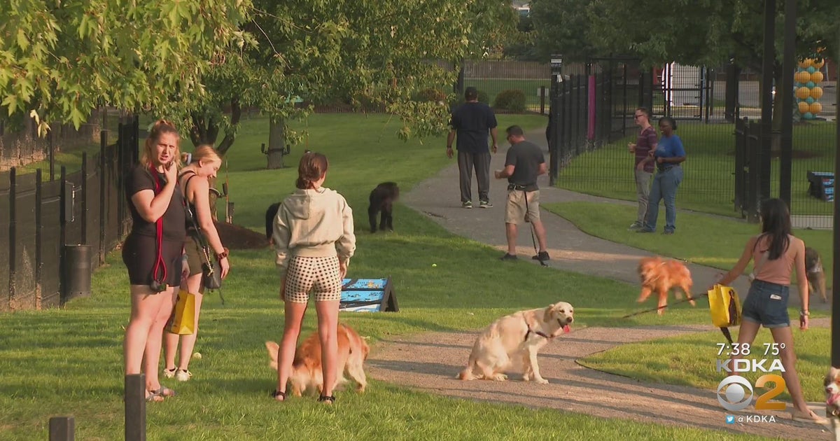 Dog park with mobile taproom opens in Pittsburgh CBS Pittsburgh