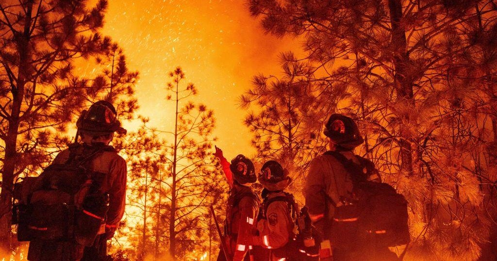 California Wildfires: Mosquito Fire 100% contained but all firefighters haven't left - Vimarsana News