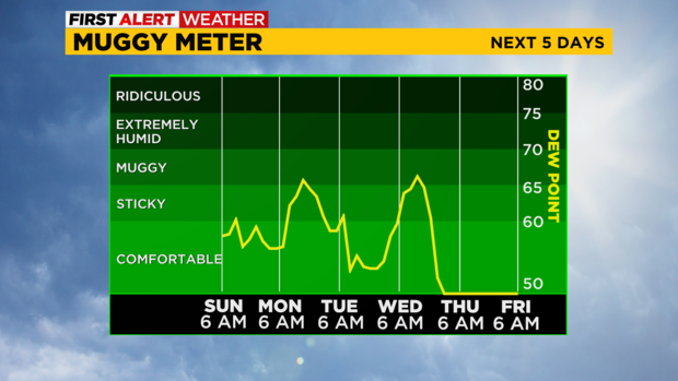 sunday-muggy-meter.png 