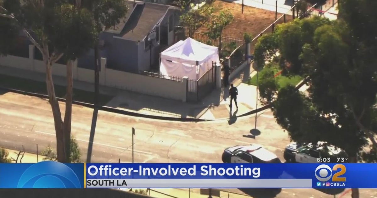 Domestic violence call leads to officer involved shooting in south la
