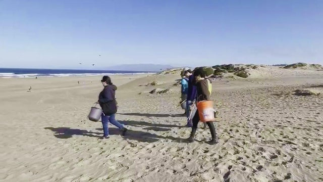 d18fa2b72e1014164287f79f932cdfd5.jpg 