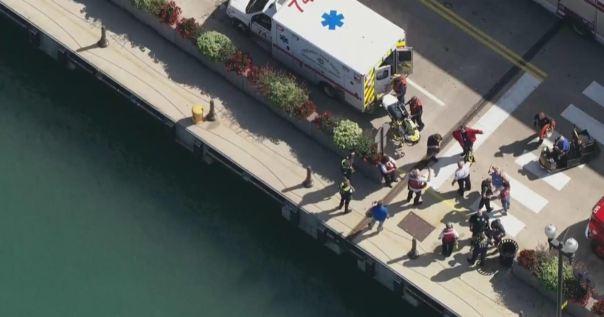 Toddler pulled from Lake Michigan near Navy Pier - CBS Chicago