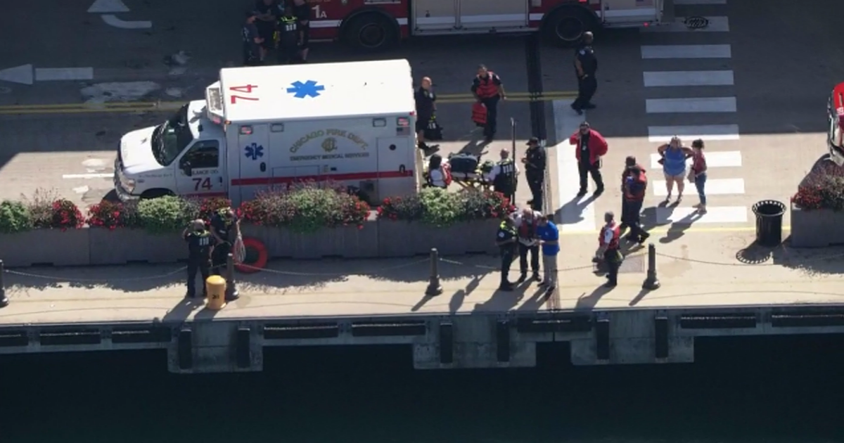 Aunt pushed 3-year-old boy into Lake Michigan near Navy Pier, sources say