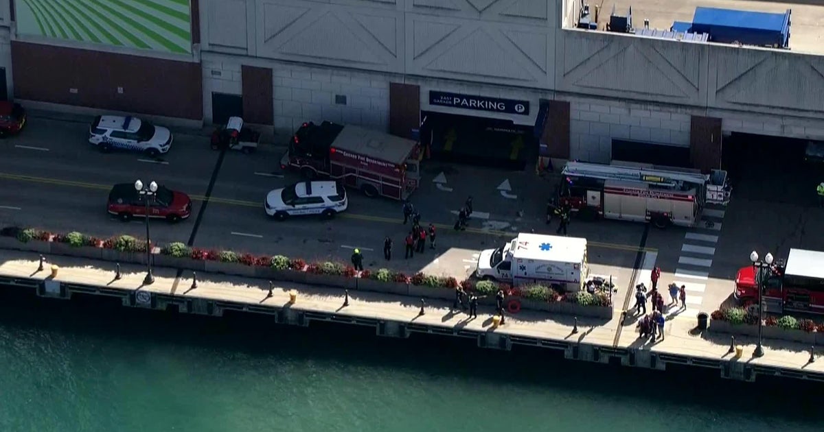 Boy pulled from Lake Michigan near Navy Pier - CBS Chicago