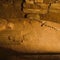 Egypt unveils 3,200-year-old sarcophagus of royal secretary