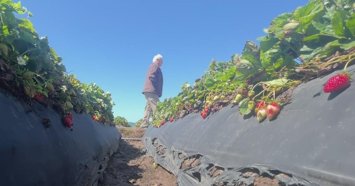 Why you'll probably be paying more for produce this season - Vimarsana News