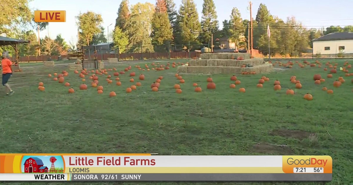 Little Field Farms 7am, Pt. 1 Good Day Sacramento