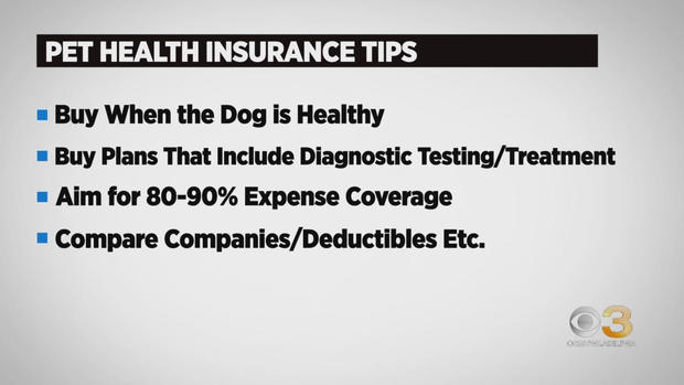 Pet Health Insurance 