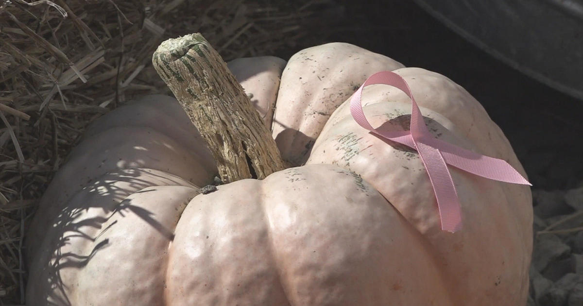 Pumpkin Cincinnati Bengals In October We Wear Pink Breast Cancer