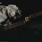 NASA tests planetary defense with asteroid collision