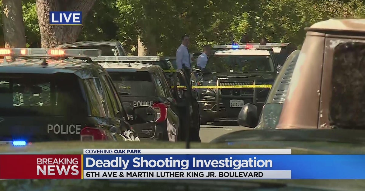 Shooting in Oak Park leaves 1 dead