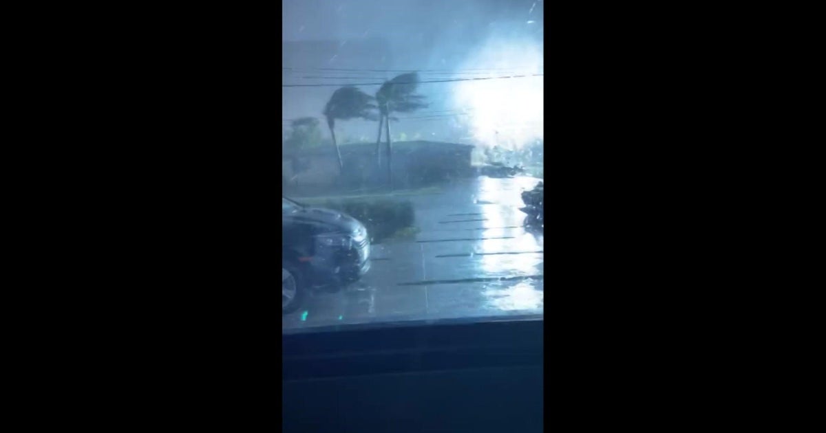 West Miami-Dade citizens clean up up right after solid winds knock out power