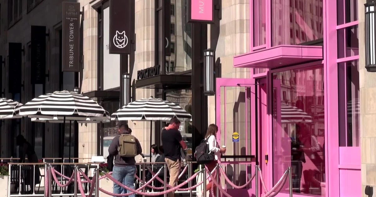 Here's the scoop on Chicago's interactive Museum of Ice Cream CBS Chicago