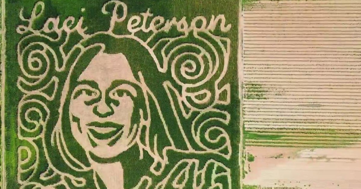 Modesto farmers make corn maze honoring Laci Peterson