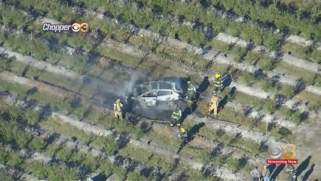 Car crashes into blueberry field, catches fire in Mays Landing 