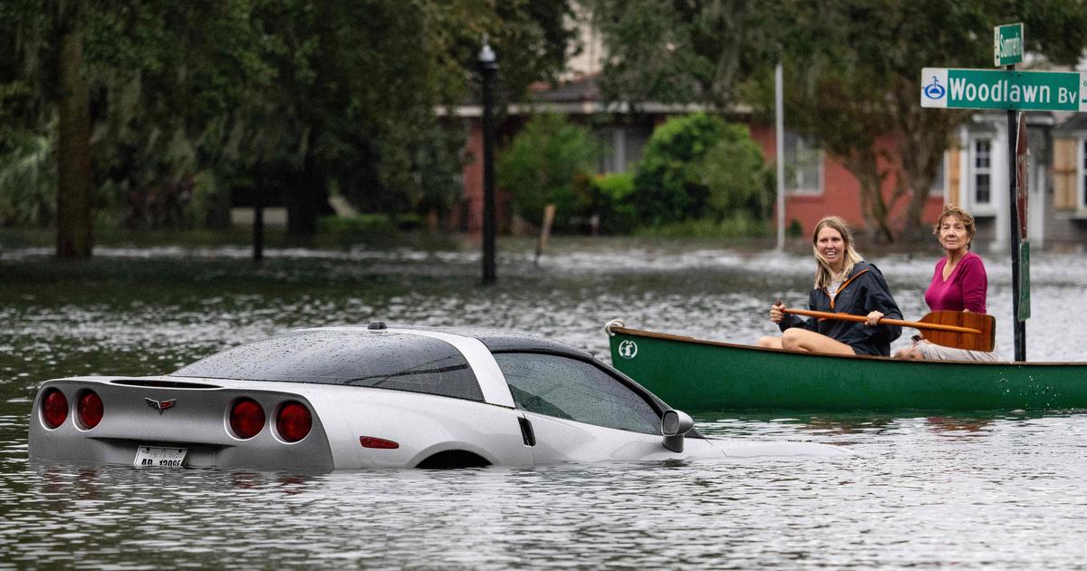 Alligators, sewage, bears and snakes are just a few of the reasons to stay out of Florida's floodwaters, officials say