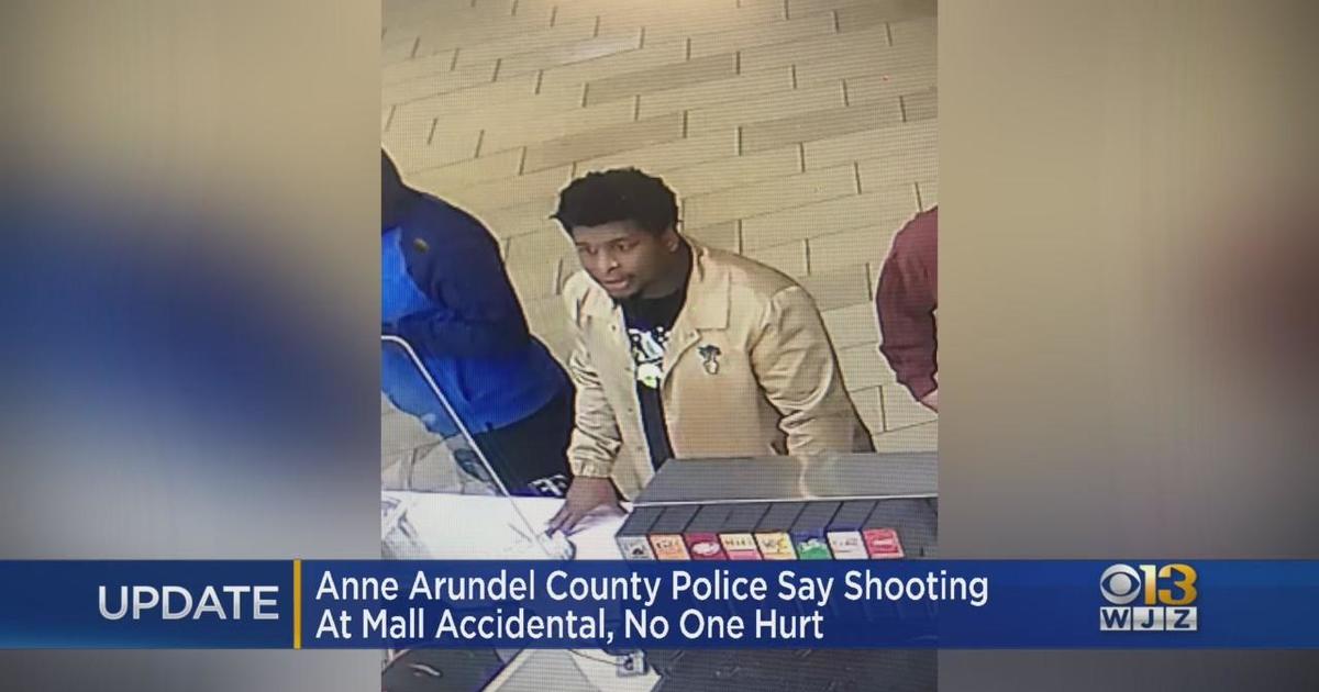 Security guard's gun accidentally discharges at Ross Park Mall