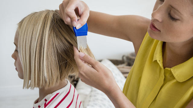 Mother using lice comb on daughters hair 