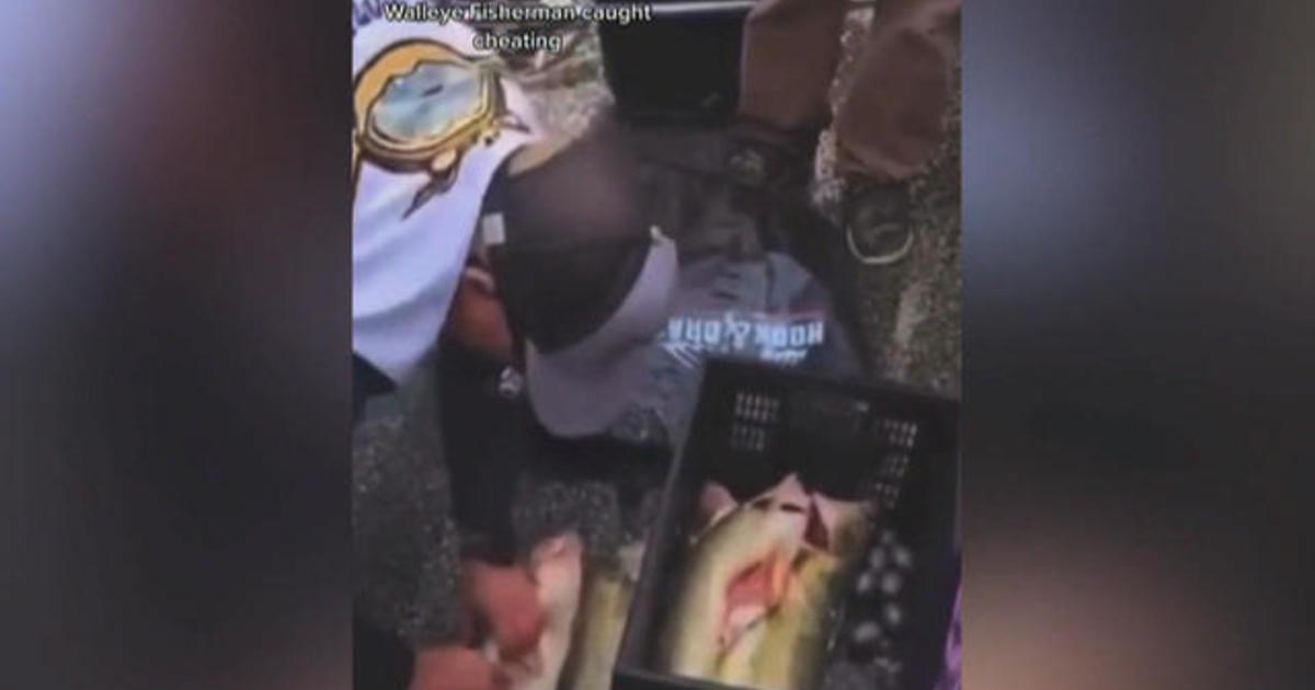 Fishermen accused of stuffing lead weights into fish at competition charged  with attempted grand theft - CBS News