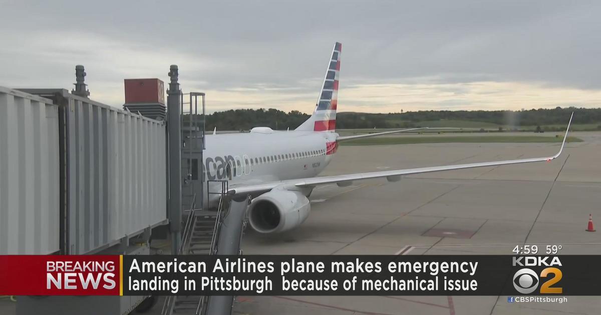 Pittsburgh Steelers plane makes emergency landing on way home from