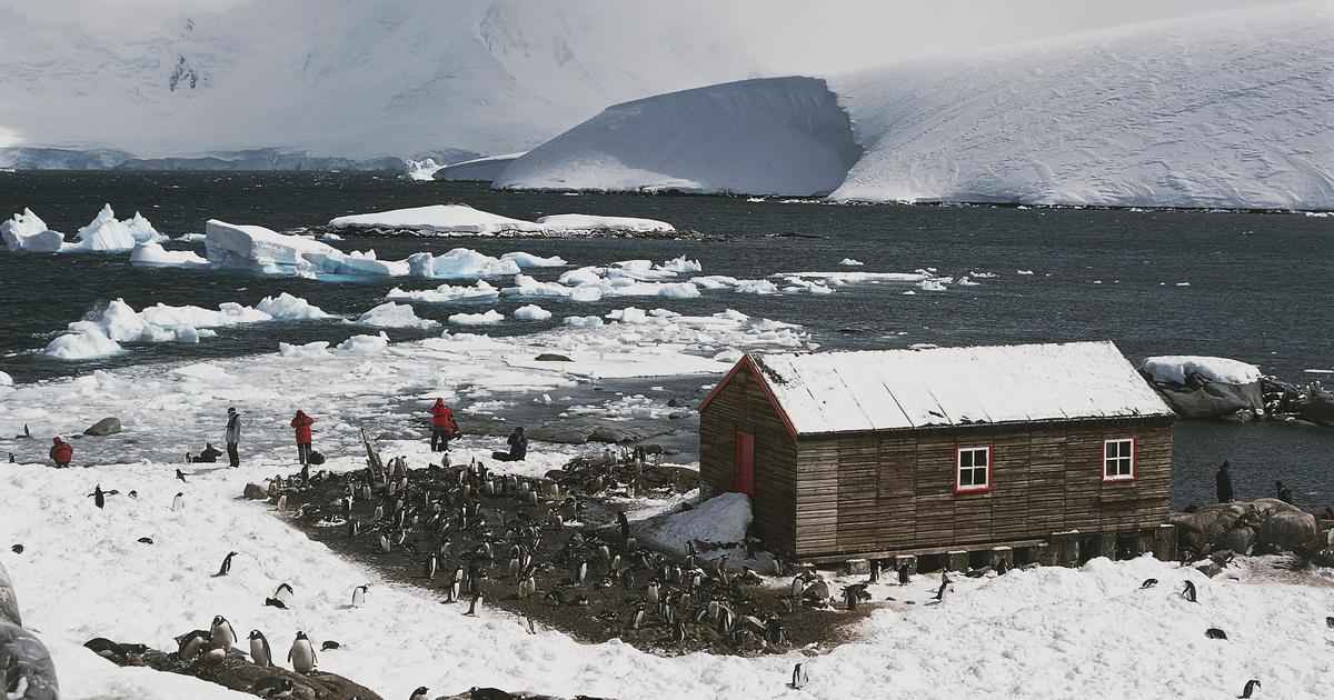 Four women have been selected to run the post office in Antarctica and count penguins