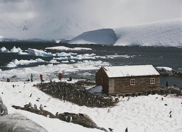 Four women have been selected to run the post office in Antarctica and  count penguins - CBS News