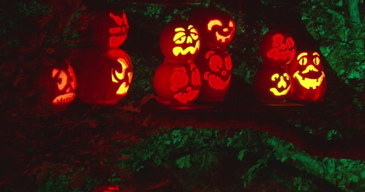 Preview Minnesota Zoo JackOLantern Spectacular CBS Minnesota