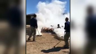 Navy SEAL tear gas video triggers investigation 